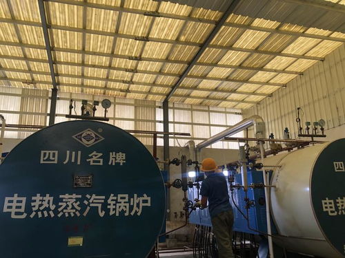 中国 锌 探研 第八站石棉县东顺锌业有限责任公司